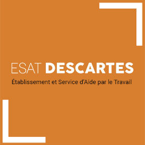 esat_descartes_recyclage_reparation_reconditionnement_multi-media_TV_HI-FI